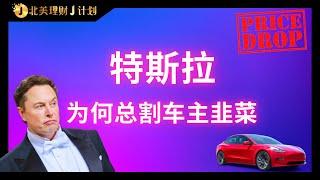 特斯拉为何总是割车主的韭菜？#特斯拉 #tesla