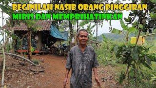 Rumah Pinggiran Yang Mengkhawatirkan..Cerita Pilu Sang Ibu Di Tinggalkan Anaknya.