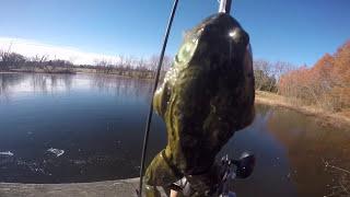 KGB Swimbaits KGBullfrog