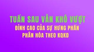 Tuần sau vẫn khó vượt, phân hóa cổ phiếu theo nhóm ngành, chọn danh mục đầu tư tốt nhất