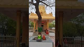 Sri Chamundeshwari Temple Tuesday Puja ,Ashram Road ,Vijayapura  #shorts #short