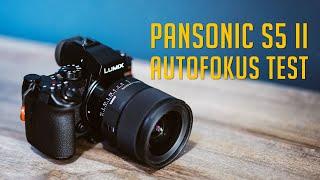 Panasonic Lumix S5 Mark II - Autofokus Live Test - Will it stream?