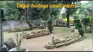 CANDI MLERI @wongngluyurchannel9995