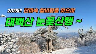 한파속 태백산 눈꽃산행, 화방재에서 문수봉,당골코스/강릉산악회 새해 첫 산행!