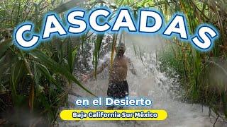 Cascadas y Arroyos en Baja California Sur / Huerta Trasviña Eco Park / Sergio Vazquez