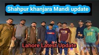 Lahore KY Shahpur khanjara Mandi Latest Update #cow #Mandi #2024