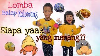 lomba balap kelomang siapa ya yang menang? #kelomang #animals #shortvideo #viralvideo