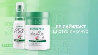 ЛР ЛАЙФТАКТ Цистус Инканус. .А.Дадали
