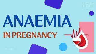 Anaemia in Pregnancy Diagnosis and Management - Obstetrics  | Prof. Dhammike Silva