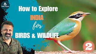 HOW TO EXPLORE INDIA FOR BIRDS & WILDLIFE? PART-2