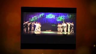 Lakeshore Tae Kwon Do 2015 Spectacular