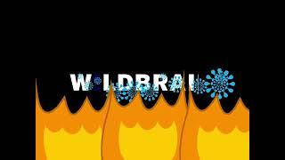 Wildbrain Logo (Yo Gabba Gabba!: Meteor Variant)