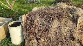 Securing Enviromesh and Fleece at the Allotment