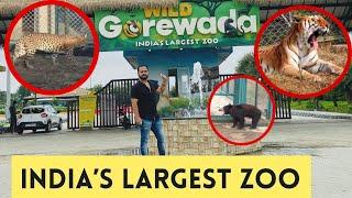 Gorewada Zoo Safari | India's largest zoo | Gorewada Jungle Safari Balasaheb Thakre Zoological Park