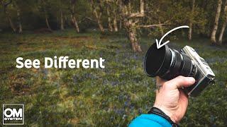 Photography is Seeing Light Differently...