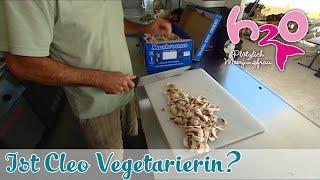 Ist Cleo Vegetarierin? | H2O - Plötzlich Meerjungfrau | Behind the Scene