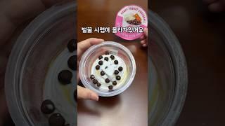 벌꿀시럽에 초코볼까지 올라간 편의점 요아정