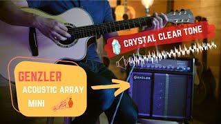 Heirlooms Music Presents Genzler Acoustic Array Mini Amplifier