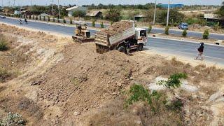 Best Land filling process Dump Trucks With D31P KOMATSU Dozer filling Flooded land Next to the road