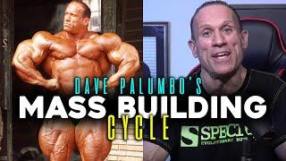 HOW DAVE PALUMBO GOT HUGE! | Mass Building Cycle (For Carbs)