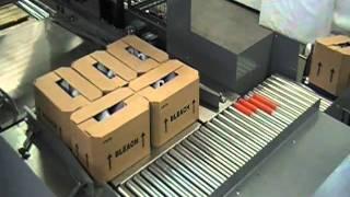 A-B-C 72AE Case Palletizer | ProPac.com