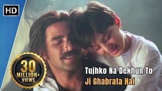 Tujhko Na Dekhun To Ji Ghabrata Hai | Jaanwar (1999) | Akshay Kumar | Udit Narayan Hit Songs