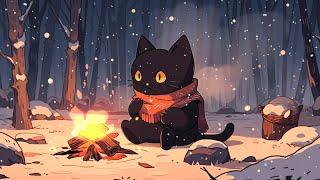 Lofi With My Cat  Fall Night Lofi To Make You Stop Overthinking And Relax [Chillhop Radio Beat]