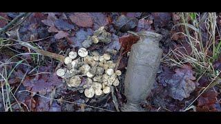 I Found A Roman Gold Treasure Using My Metal Detector - Watch Me Do It!