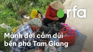 Những mảnh đời cắm dùi bên phá Tam Giang