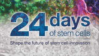 24 Days of Stem Cells - The premier virtual stem cell event