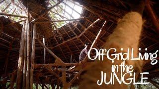 The Tribe Goa - one year OFF-GRID in the Jungle