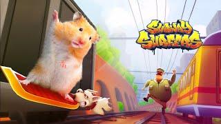 Subway Surfers Vs Hamsterious | Hamster Escape Challenges