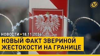 Польские силовики избили группу беженцев / Прямые регулярные рейсы из Беларуси в Китай