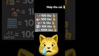 Please help the cat 
