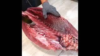 BigEye Tuna cutting skills