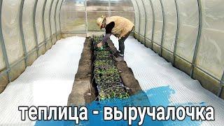 ‍ХОРОШО ЧТО ЕСТЬ ТЕПЛИЦА. БУДЕМ С РАННИМ УРОЖАЕМ
