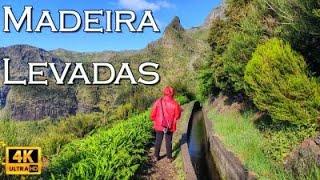 Madeira Levada Walks • 4K