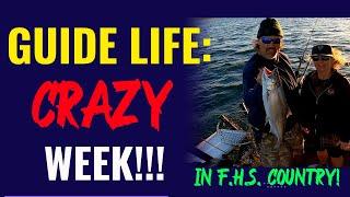 Guide Life: Salmon, Trout, Trolling Flies, Firewood & A Rattlesnake Attack!