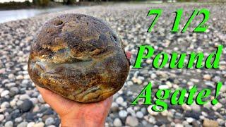 We Found a 7.5 Pound Tyndall Blue Agate! Rockhounding the River for Gorgeous Agates, Jasper, & More!