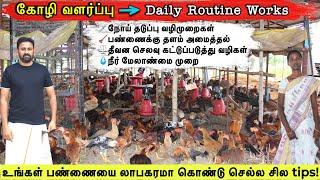 நாட்டுக்கோழி பண்ணையை முறையாக பராமரிக்கும் முறை/1000 கோழிகள் வளர்க்க எவ்வளவு தினசரி வேலைகள் உள்ளன?