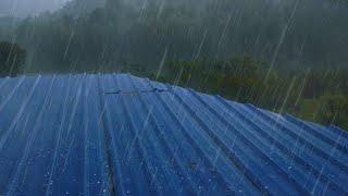 Tin roof thunderstorm sound under violent storm - put people to sleep immediately