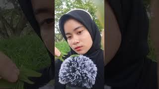 ASMR CARI KUTU 