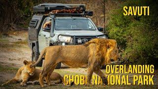 Savuti Chobe National Park Overlanding Self Drive Adventure Dry Season. ROAM Overlanding Ep3