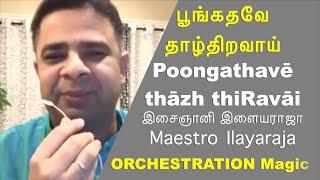 What's Special | Episode 8 | Poongathave | Isaignani Ilayaraja | Orchestration Magic | Nizhalgal