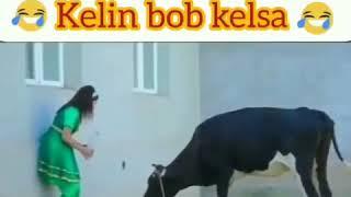 ZOR,TV UZ