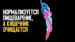 14 продуктов, в которые влюблена ПОДЖЕЛУДОЧНАЯ ЖЕЛЕЗА, Как лечить поджелудочную!