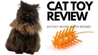 CAT TOY REVIEW :  the Catchy Mouse / Moto mouse review