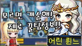 모르면 개손해! 제로 꿀팁정보!! - 메이플스토리 [하렘퀸]