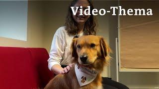 Deutsch lernen mit Videos | Wie ein kleiner Hund Studierenden hilft | mit deutschen Untertiteln