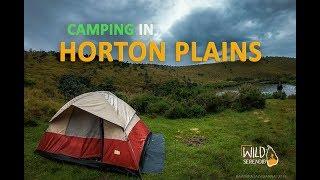 Camping in Horton Plains National Park , Srilanka | Wild Serendib